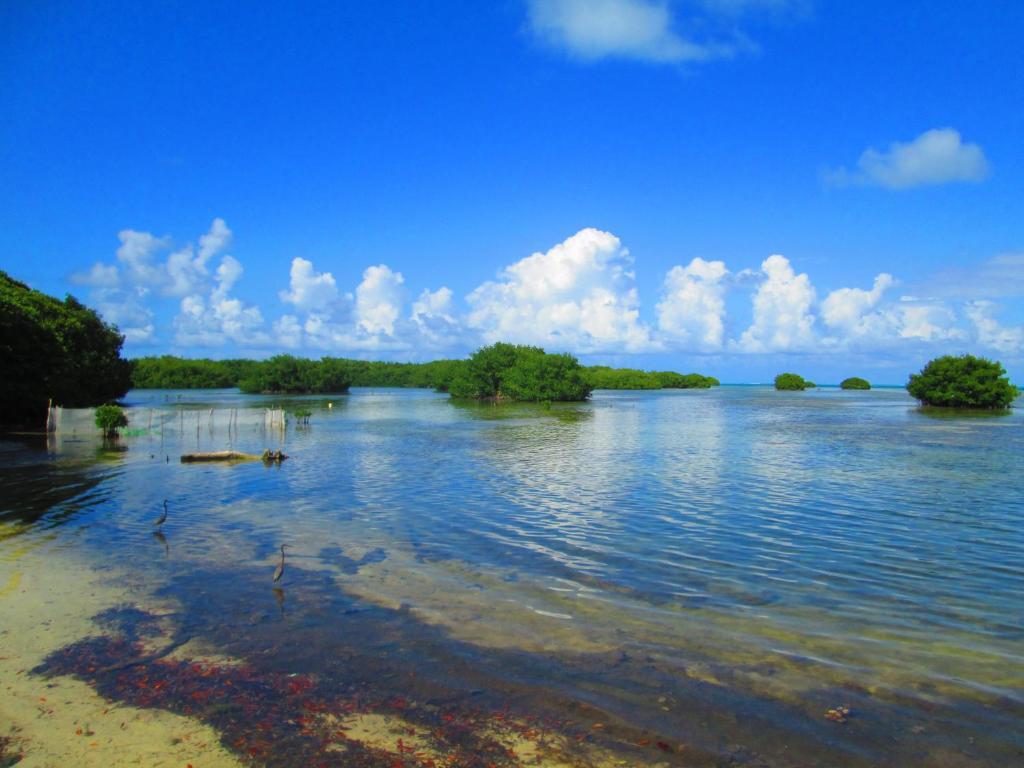 Отель Decameron Marazul Сан-Андрес Экстерьер фото